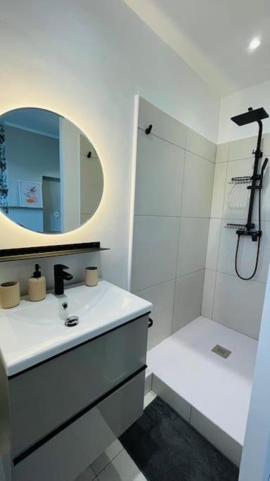 Appartement Renove Proche Du Parc De La Tete D'Or Villeurbanne Dış mekan fotoğraf